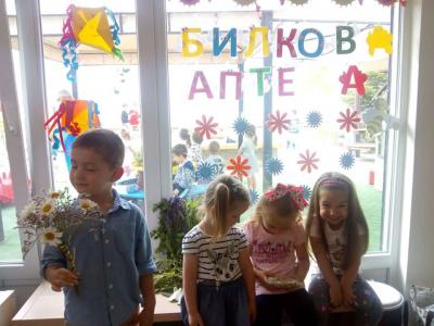 Билкова аптека