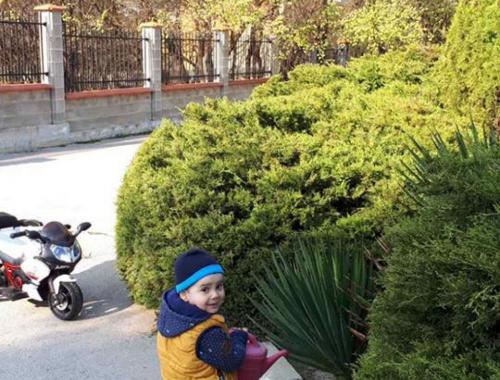 Урок за частите на цветето
