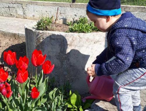 Урок за частите на цветето
